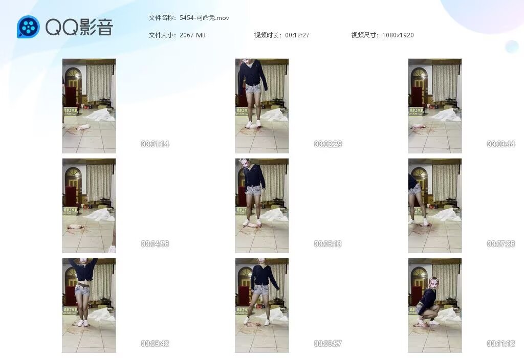 5454-司命兔[20260